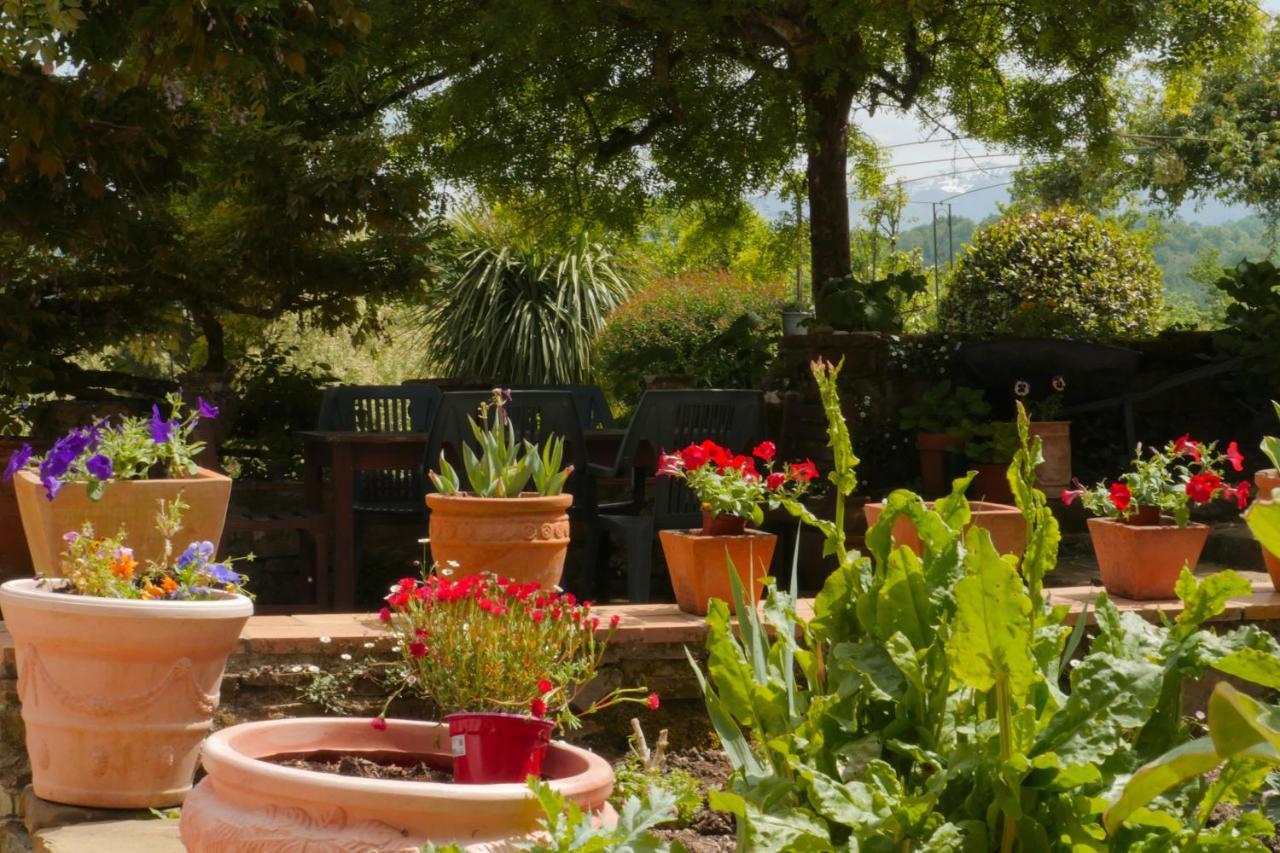 Chambres D'Hotes Secret Pyrenees Lasseube Εξωτερικό φωτογραφία