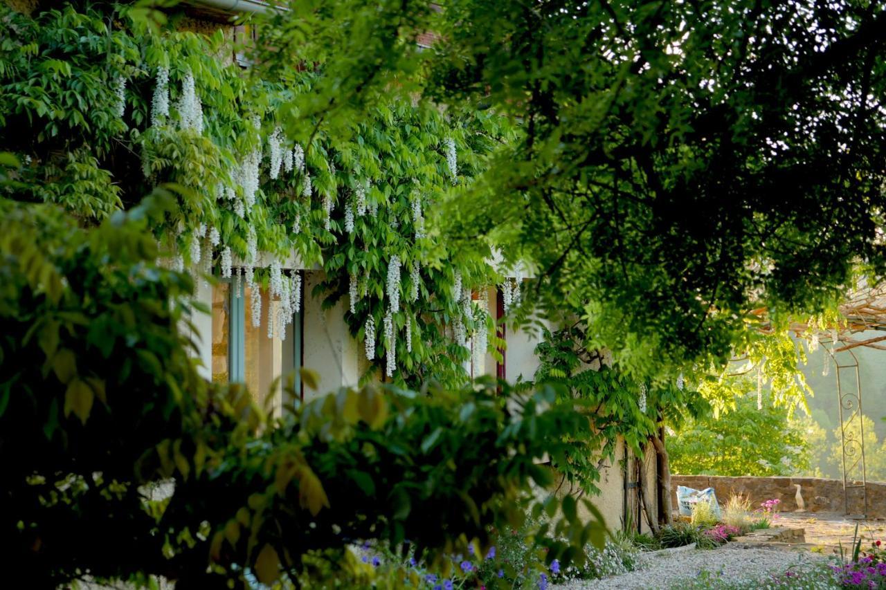 Chambres D'Hotes Secret Pyrenees Lasseube Εξωτερικό φωτογραφία