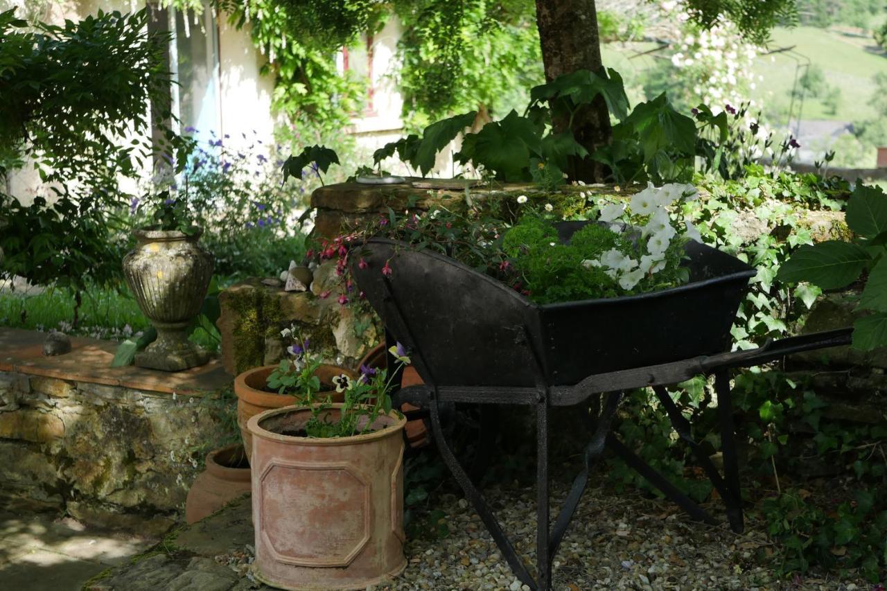 Chambres D'Hotes Secret Pyrenees Lasseube Εξωτερικό φωτογραφία